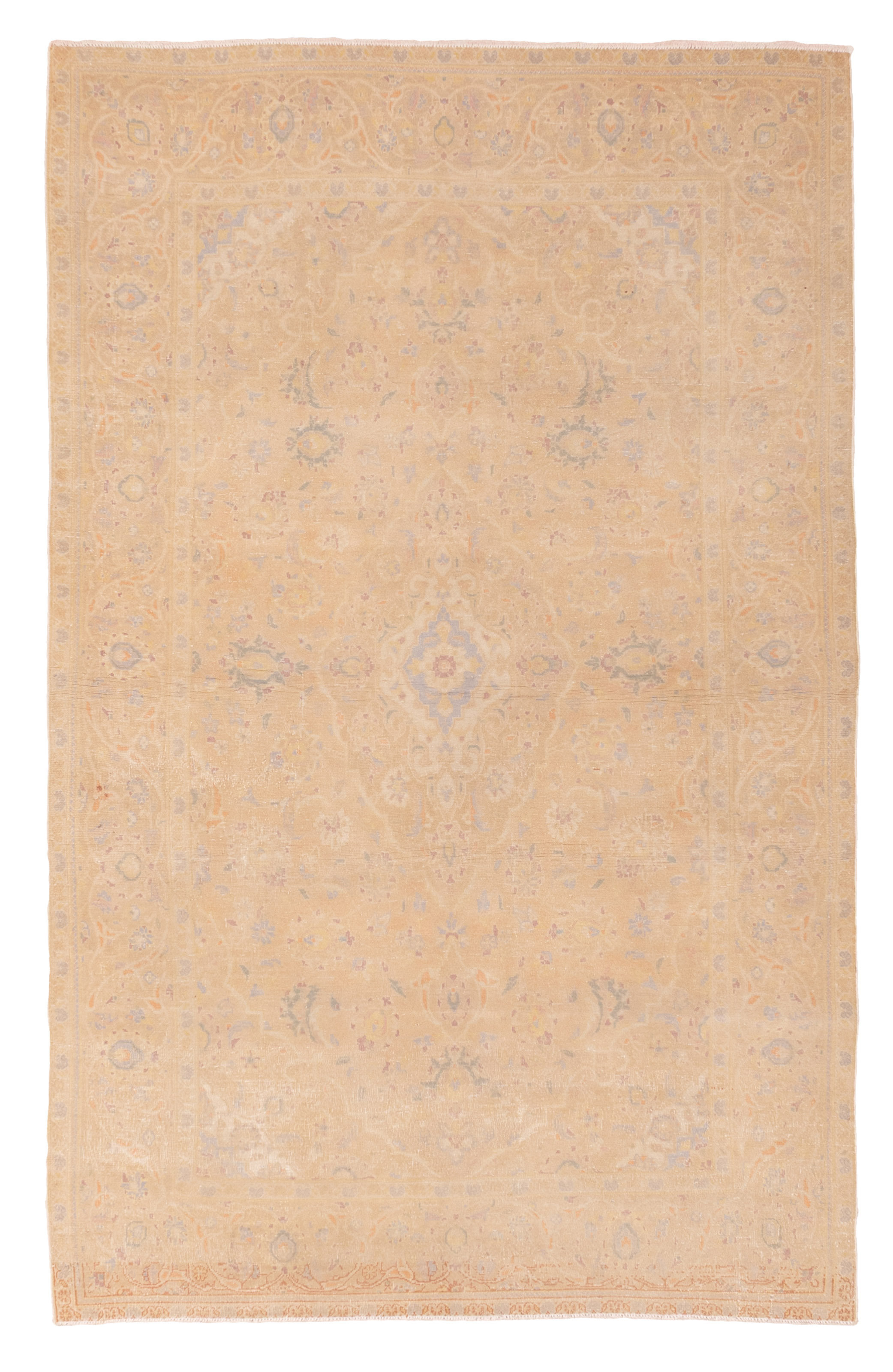 Wayfair Tan Rugs Wildon Home® Antalya Vintage Tan Rug 4'6