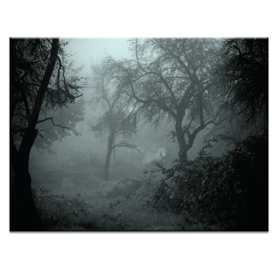 Print on Canvas