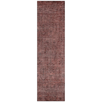 Chamaya Southwestern Indoor / Outdoor Rug