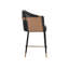 Carter Bar & Counter Stool-801964078-801964241