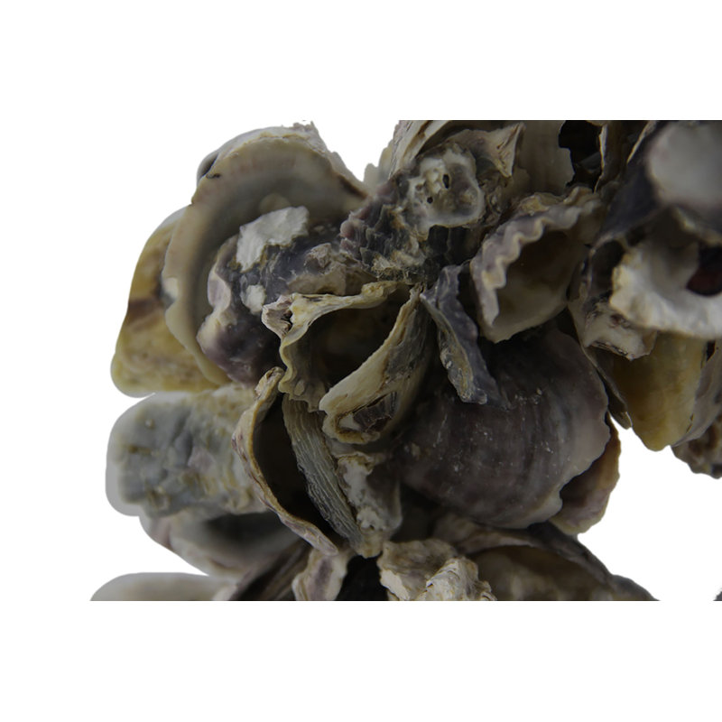 Couronne décorative d'huître naturelle Coastal pour l'intérieur ou l'extérieur - gris, 18 po de diamètre x 7 po de largeur