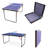 Sports Table Tennis Table Foldable & Portable Ping Pong Table Set with Net & 2 Ping Pong Paddles