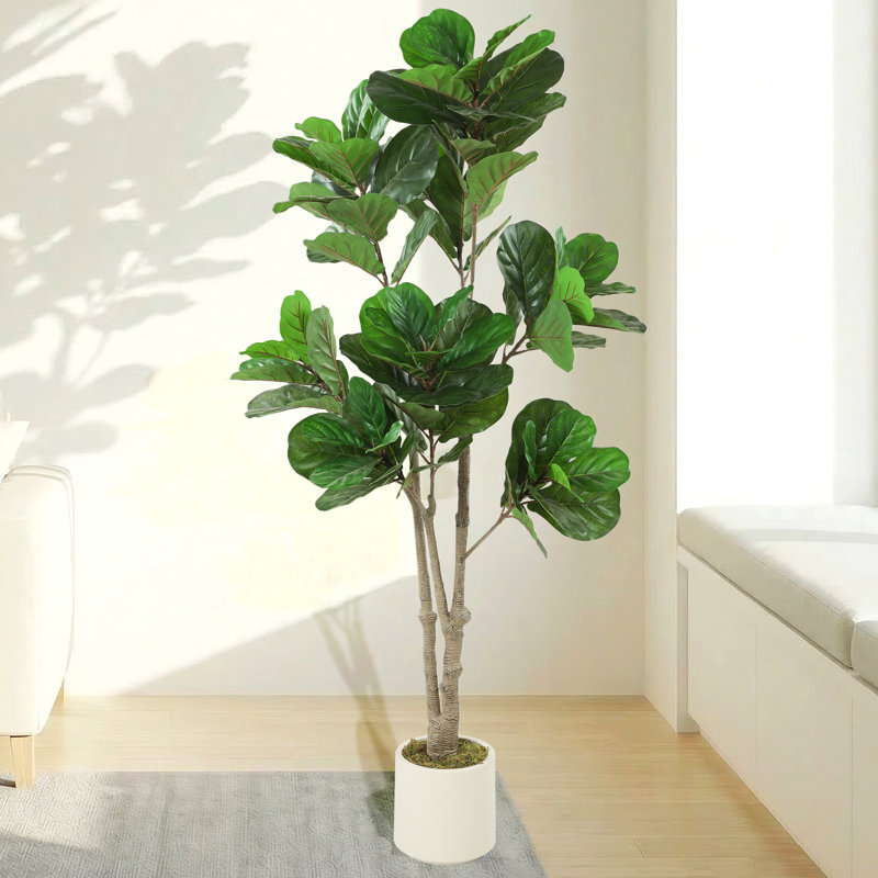 180cm Plant