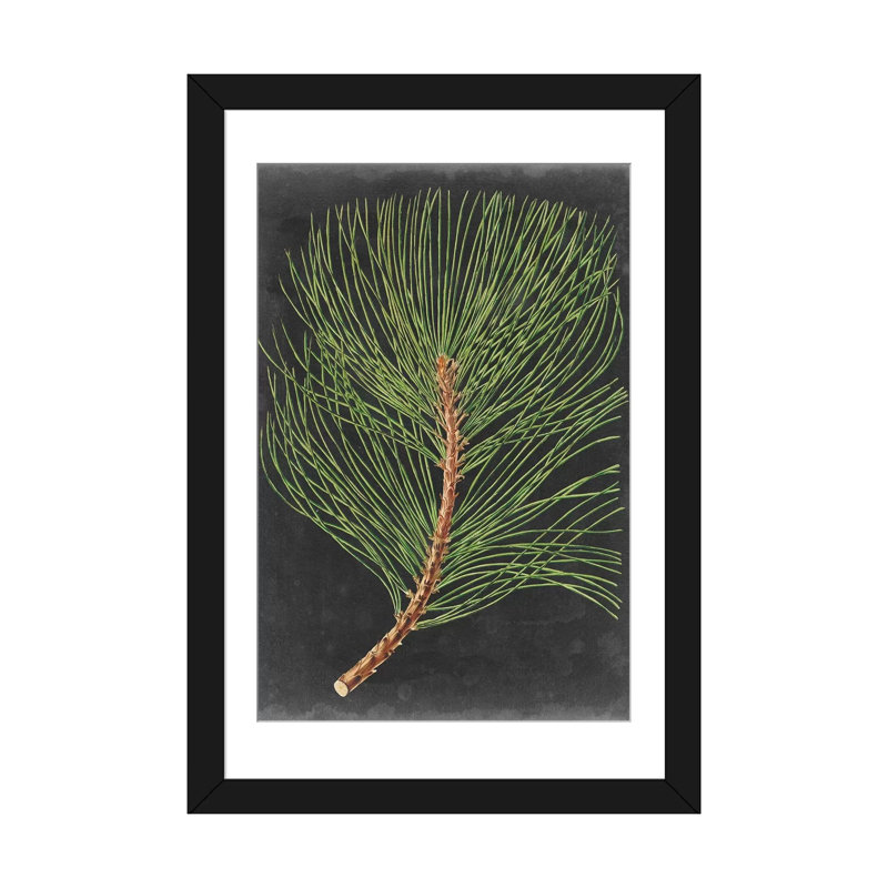 «Dramatic Pine III», impression sur toile, H 32 po x l 24 po x P 1 po, Papier d'art encadré noir, Blanc
