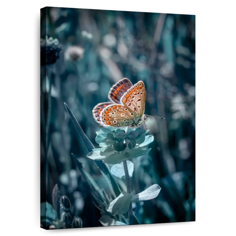 Brampt Butterfly Sundown, 48" H x 32" W