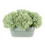 Hydrangea Floral Arrangement-879950689