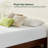 12" Plush Memory Foam Mattress - Sleep by Wayfair™-792351791-737431364