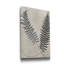 « Vintage Fern Study III », reproduction d’art sur toile tendue-1725412167