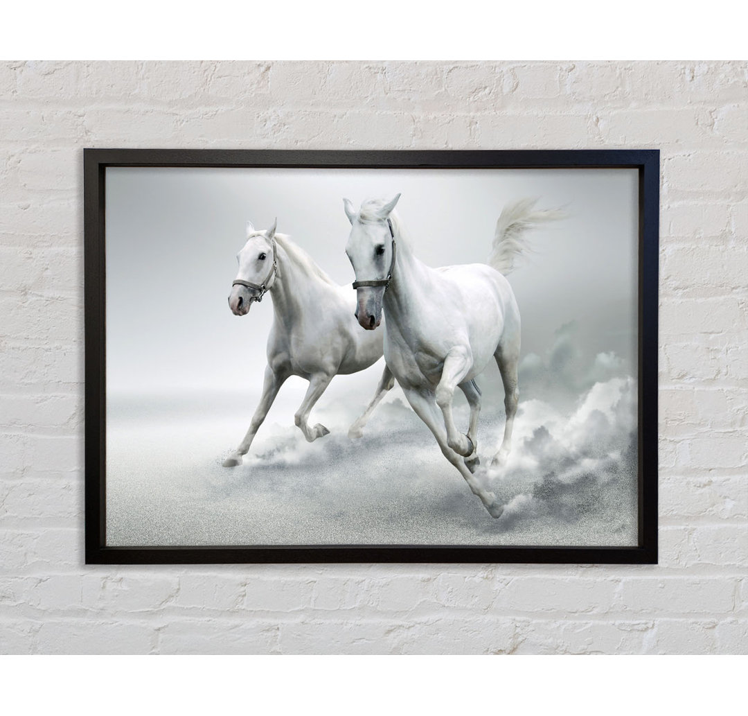 White Duo Horses - Einzelner Bilderrahmen Kunstdrucke auf Leinwand