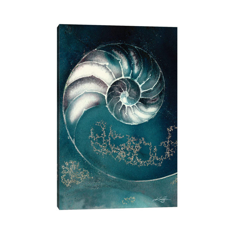 Nautilus Shell IIIC by Kathy Morton Stanion - Wrapped Canvas Gallery-Wrapped Canvas Giclée, 30.48 cm H x 45.72 cm W