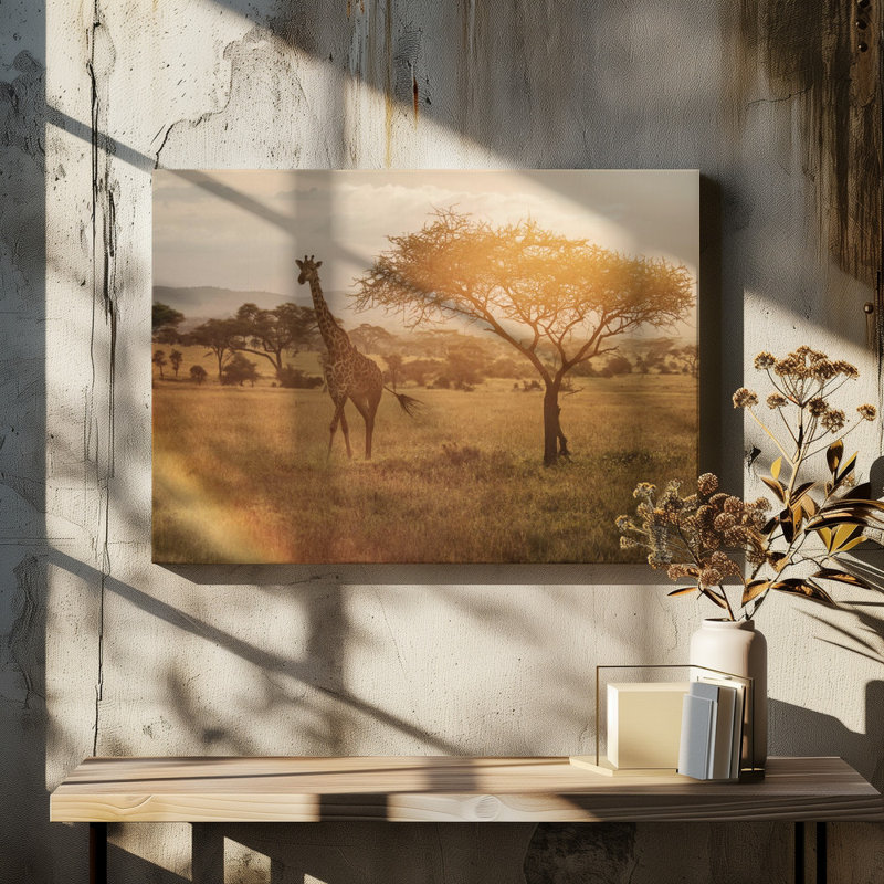 Wrapped Canvas Print, 50.8 cm H x 76.2 cm W