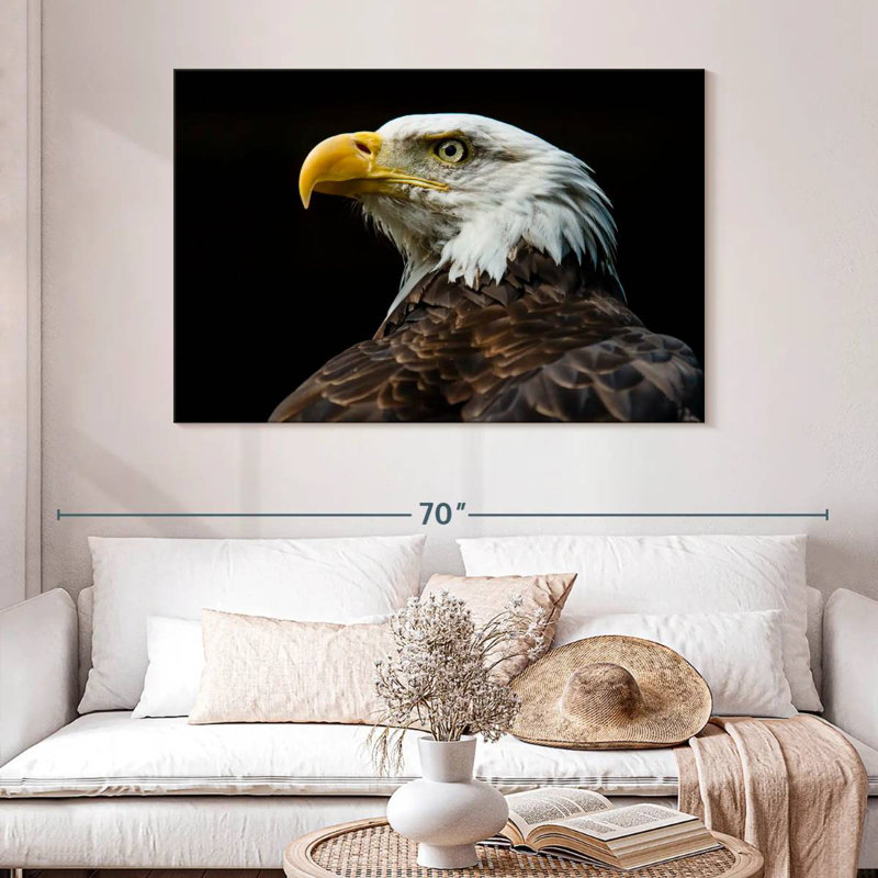 Brampt Bald Eagle Fierce Gaze