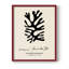 Matisse CXLIX Framed Print - Solid Wood-154310920-154310929