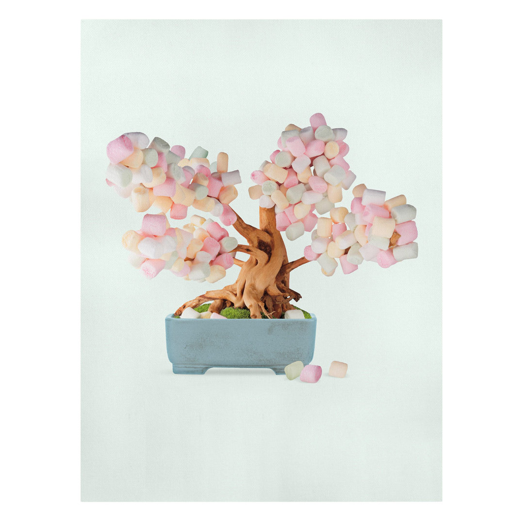 Leinwandbild Bonsai mit Marshmallows von Jonas Loose