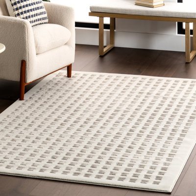 Daleyza Checkered Machine Washable Area Rug