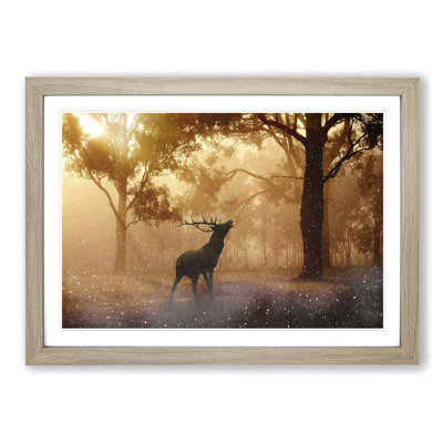 Stag in an Autumn Forest Landscape Framed Photographic - Framed Print
