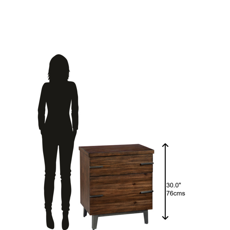 Transitional 2-Drawer Black and Brown Legal Size File Cabinet