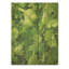 Herbes, persil dansant II - Herbes florales sur bois-976754721