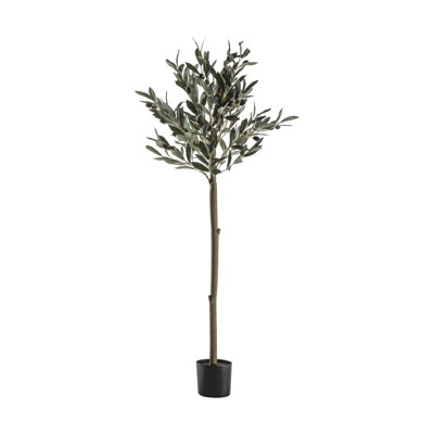 Faux Olive Tree Tree in Pot