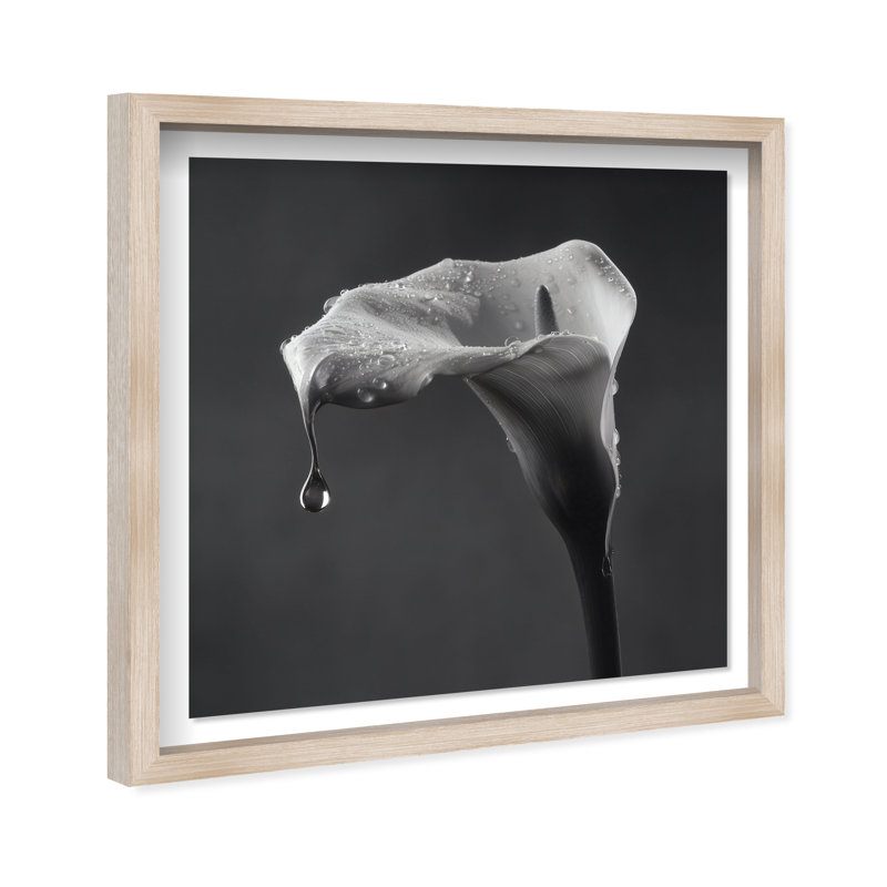 Midnight Rain Print by Oliver Gal, 17.5"H x 17.5"W, Natural Oak Shadowbox