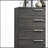 Lantha Gray Oak Finish Chest