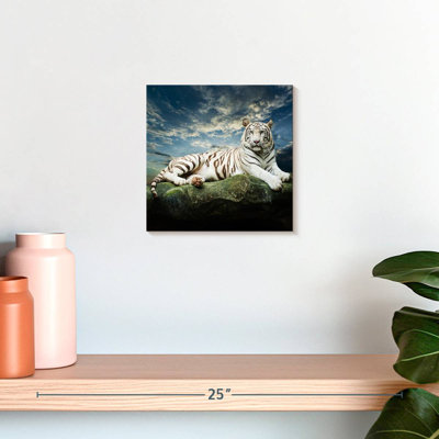 Tigre blanc Brampt