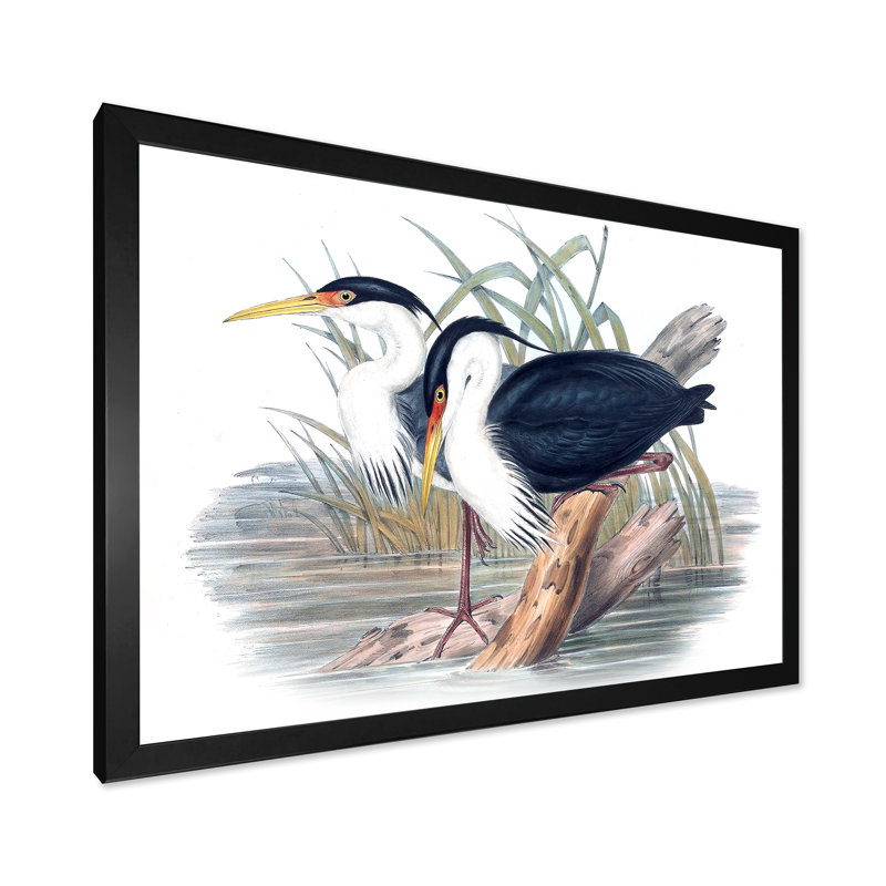Vie d'oiseau rétro II - peinture sur toile, H 30 po x l 40 po x 1,5 po, Cadre photo noir