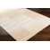 Abrego Striped Indoor / Outdoor Rug