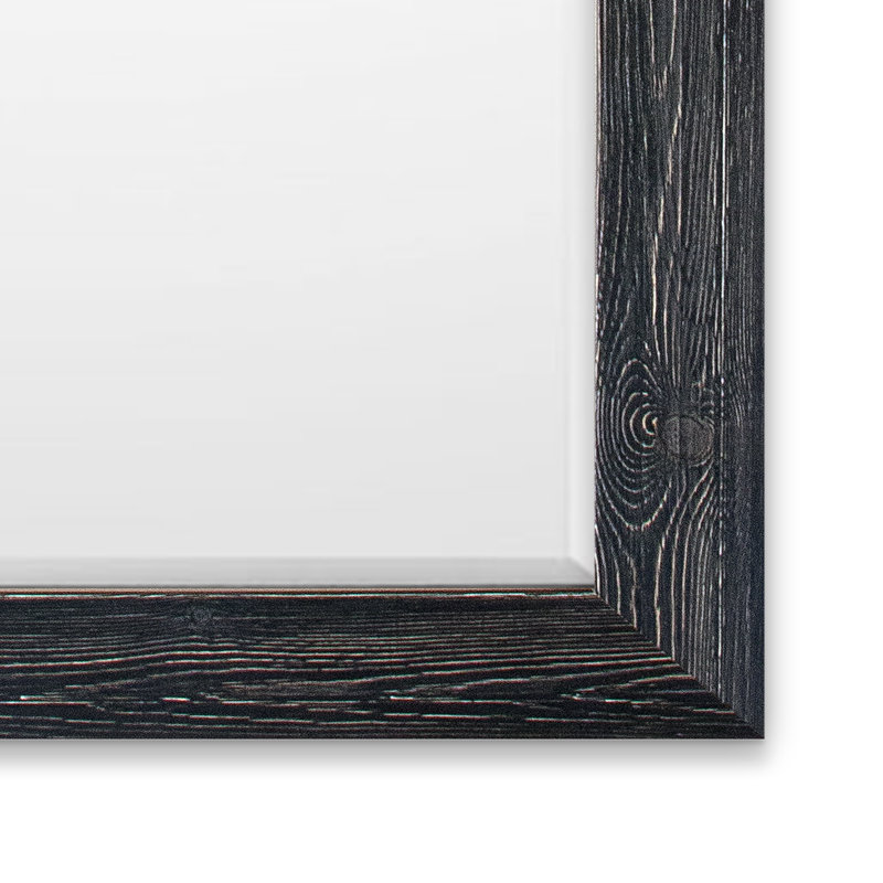 Migel Mirror, Distressed Black, 42" x 30"
