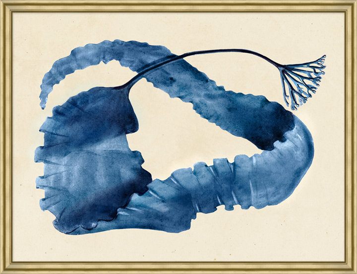 Horizontal Indigo Seagrass 1 Framed Print