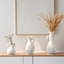 3 petits vases blancs pour la table basse du salon