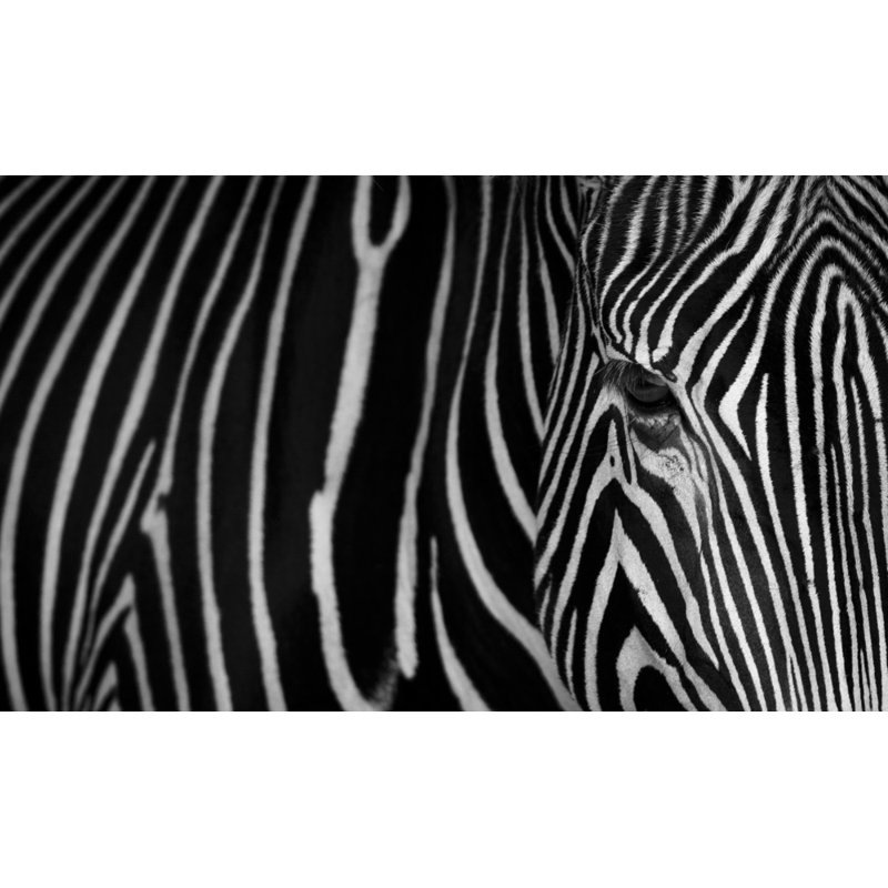 Wrapped Canvas Print, 50.8 cm H x 76.2 cm W