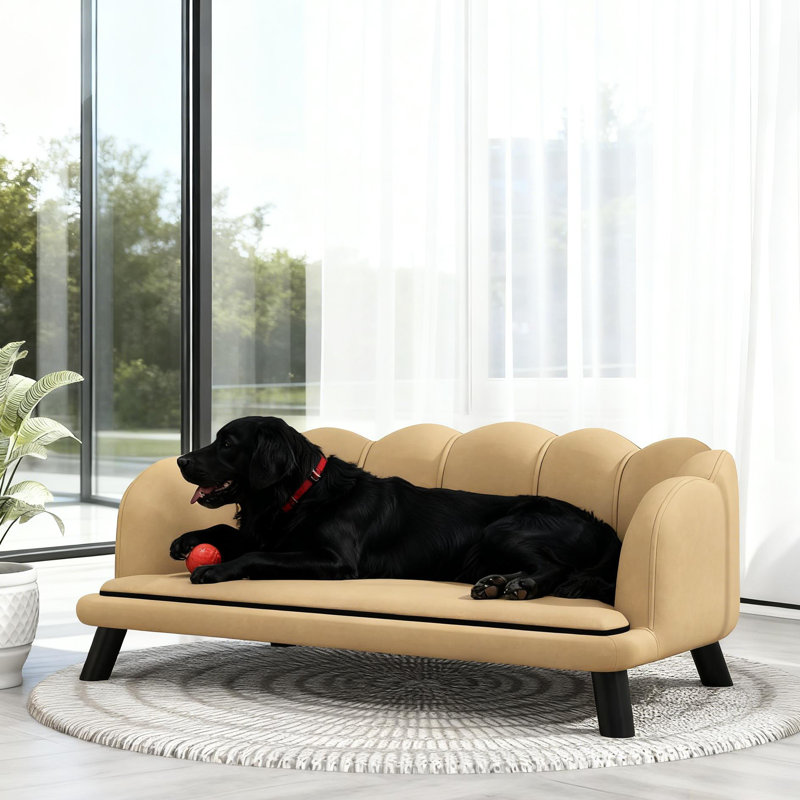Animal de compagnie avec motif perle de café, coussin en mousse souple, lavable, amovible et quatre pieds robustes en bois de bouleau, convenant aux chiens de taille moyenne, l 38,75 po x P 23,75 po, avec revêtement en tissu