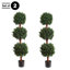 Ensemble de deux arbres artificiels Hedyotis Primrue