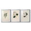 Imprimé floral rétro CLxxxi - impression encadrée sur mesure de qualité supérieure - 3 pièces-900380454-900380455