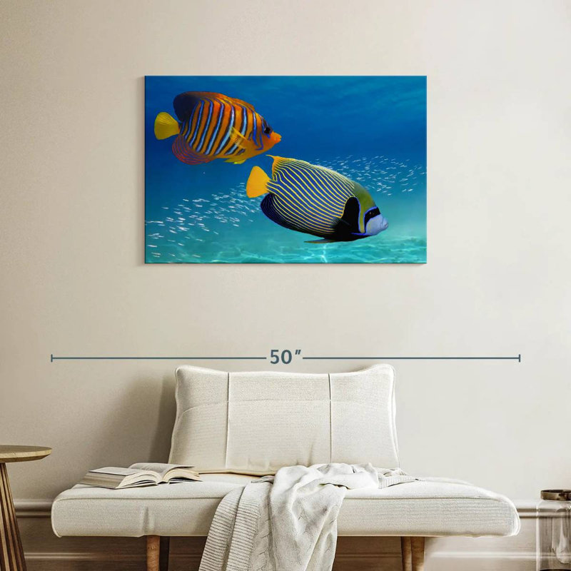 Poisson-ange exotique empereur, H 24 po x l 36 po