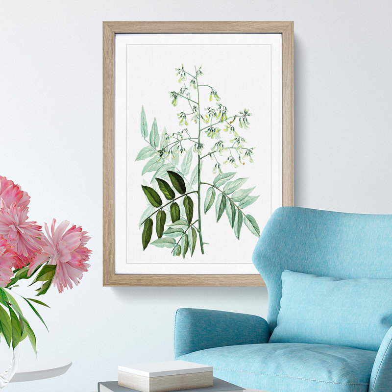 Japanese Pagoda Tree by Pierre-Joseph Redoute - Picture Frame Graphic Art Print, Oak Framed, 65cm H x 48cm W x 2cm D