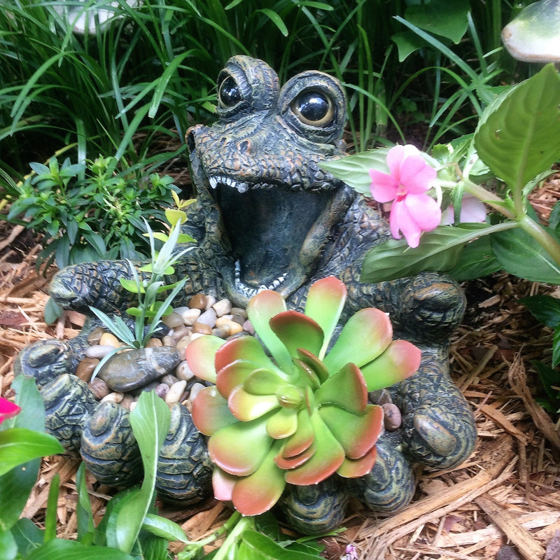 Grand pot à fleurs Biggin 'Gator, 8" H x 9.5" L x 11.5" D, Vert