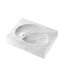 Conchiglia Shell Object Decor