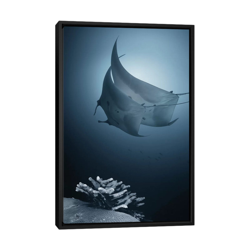 « sonata », impression sur toile, H 26 po x l 18 po x P 1,5 po, Toile avec cadre noir, Pas de tapis