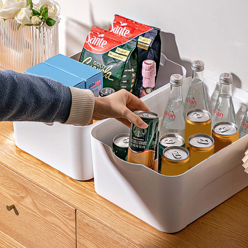 Rebrilliant Plastic Decorative Bin