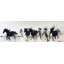 Stampede - reproduction encadrée avec passe-partout blanc | Art Home Decor