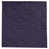 Black/Purple