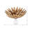 1-Light Wall Sconce
