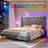 Bed Frame With 51"High Velvet Upholstered  Wingback Headboard, Platform Bed With Charging Station And Led Lights-655026584-655026587