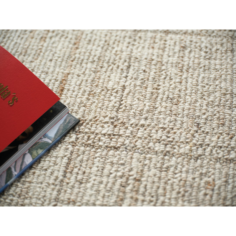 Desi hand-knotted Wool Silver Area Rug, Rectangle 6' x 9', Beige
