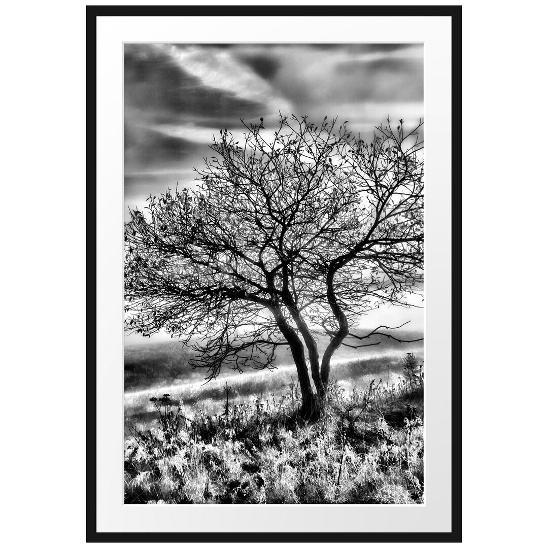 Gerahmtes Poster Baum im Gras