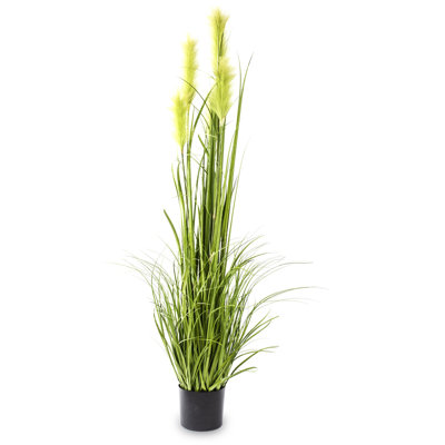 Faux Evergreen Grass in Pot