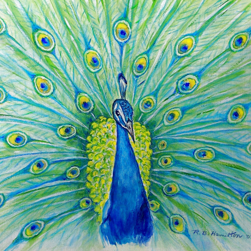 Small Peacock Print Indoor/Outdoor Square Pillow