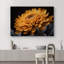 Fleur, "Gerbera, chrysanthème, fleur, gros plan, photographie, art moderne, décor champêtre" sur toile-99544023